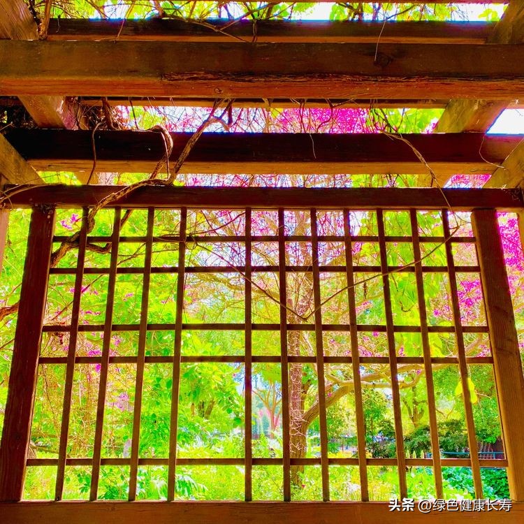 世界花园风景,世界花园