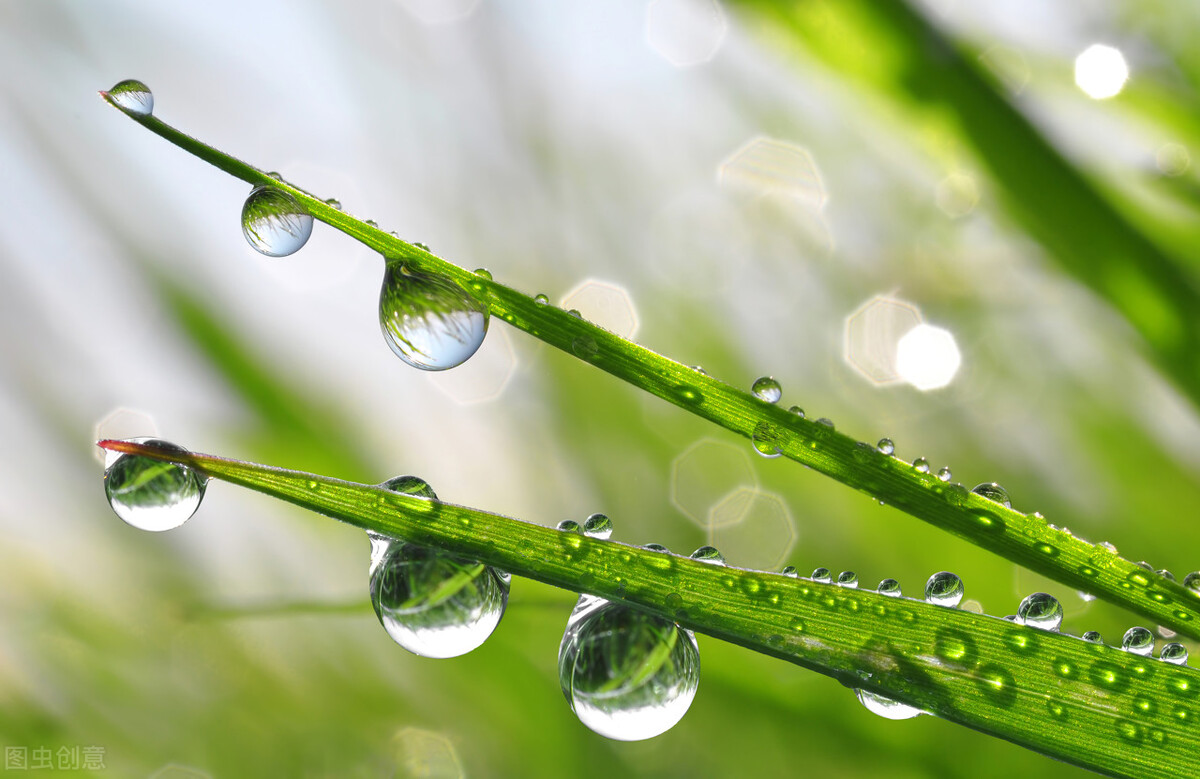 白露饮食养肺润燥,今日白露吃啥