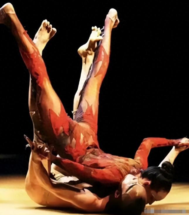 杨丽萍的四大不解之谜,杨丽萍十大不解之谜