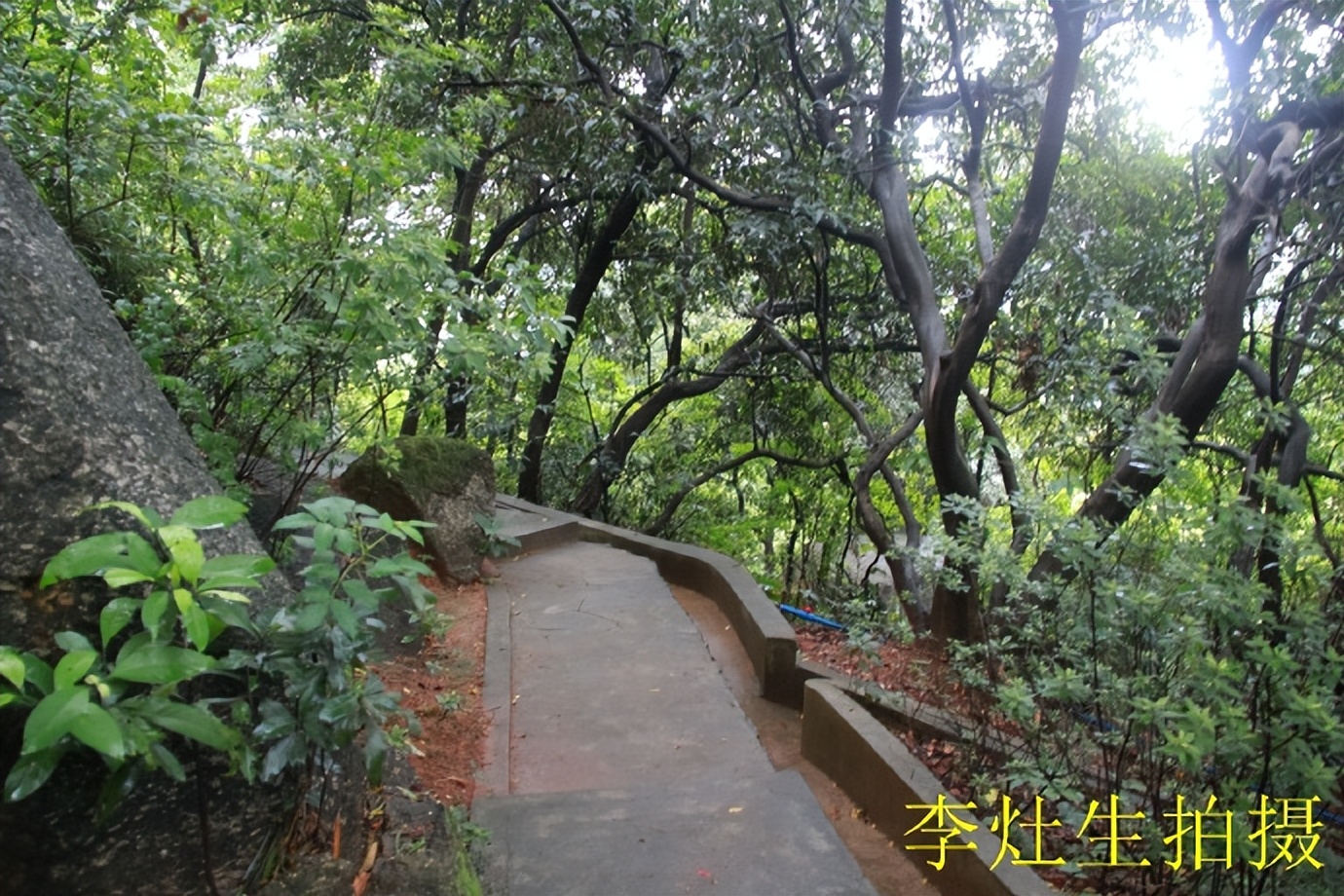 杨四将军庙简介,杨四将军庙在哪个位置