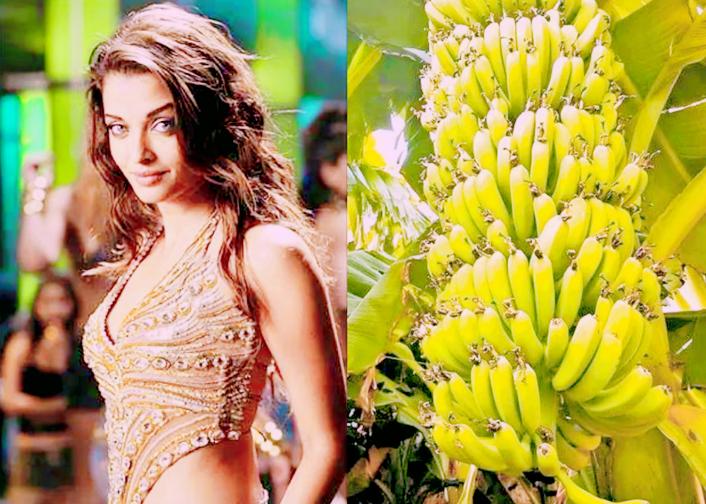 印度低种姓娶高种姓女人例子,印度最高种姓婆罗门女人