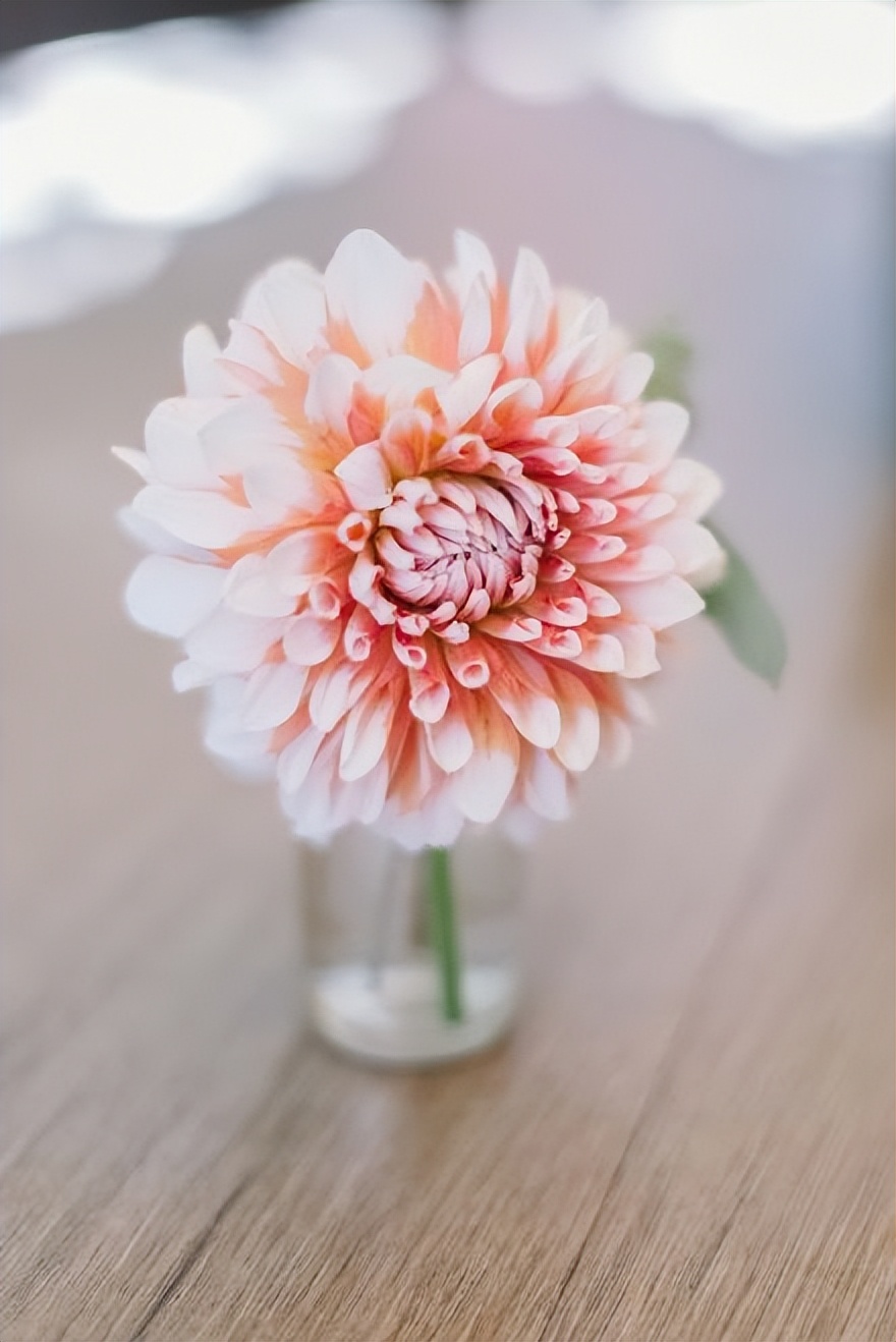 早安的正能量句子朋友圈,早安开心的句子发朋友圈