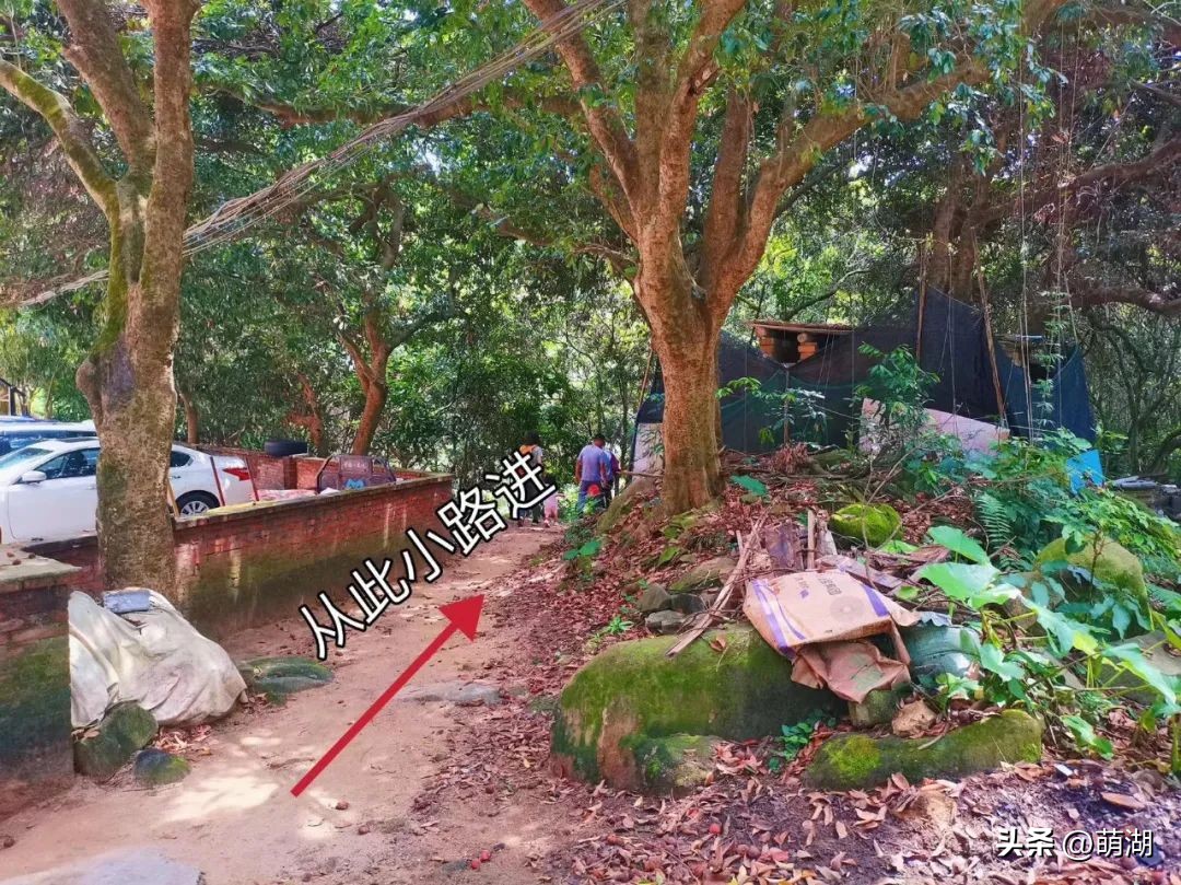 广州这个竹林溯溪胜地玩水,清凉避暑好去处山洞里一起来玩水