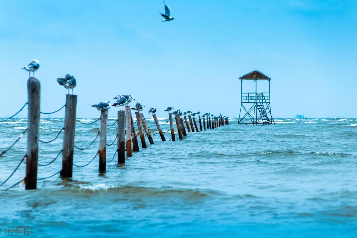 喜欢美景去哪玩,喜欢海边美景释放心情