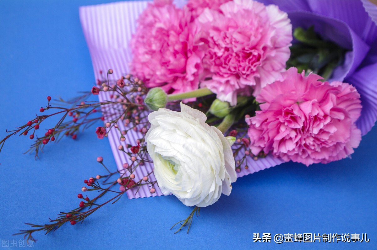 出淤泥而不染濯清涟而不妖深意,出淤泥而不染濯清涟而不妖相似词