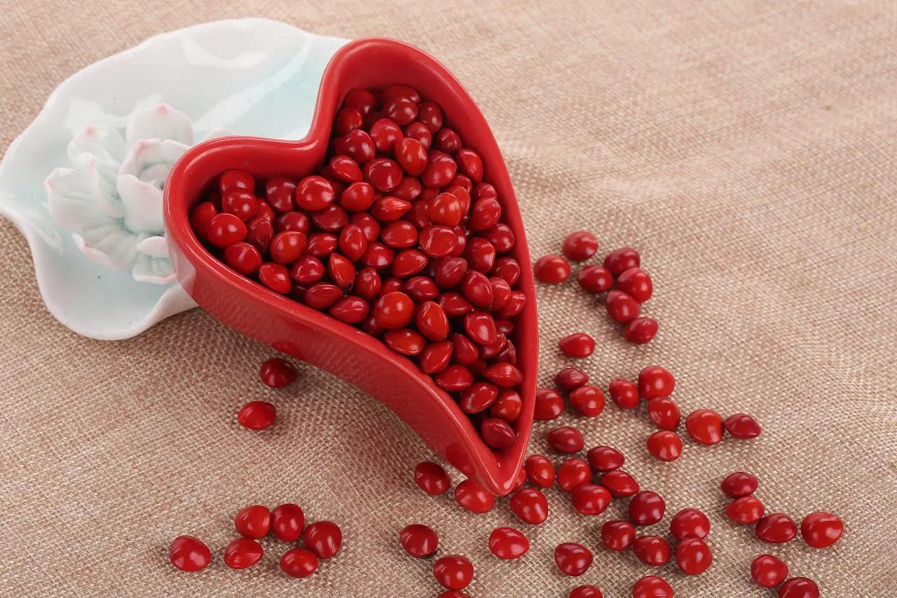 绿豆种子发芽和光的关系,绿豆发芽对比