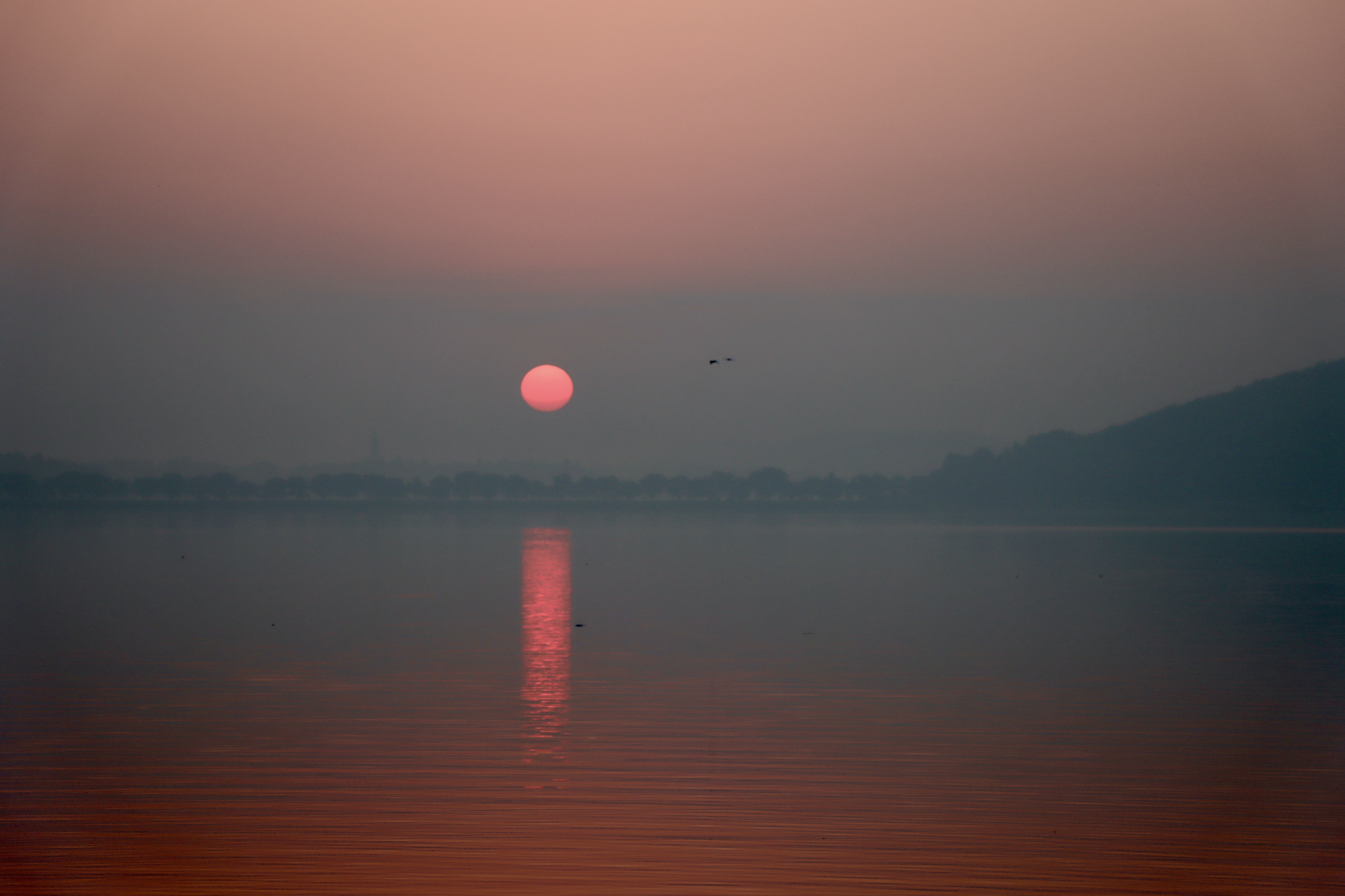 武汉有哪些好玩的地方推荐,武汉江夏亲子游最佳地方推荐