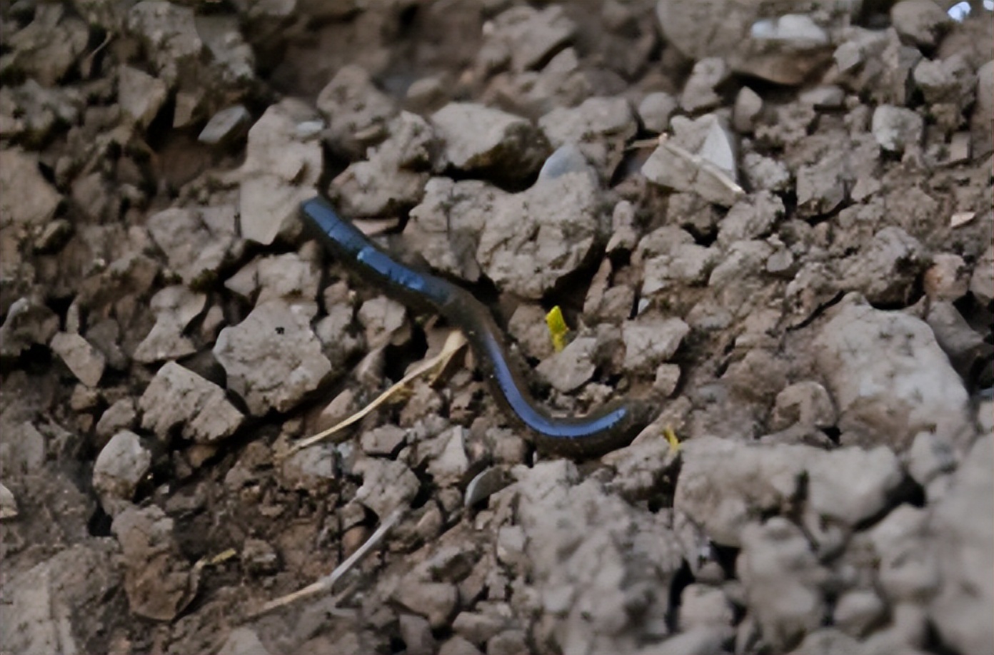 哈佛麻省天才,哈佛高材生只想赚一分钱却被批