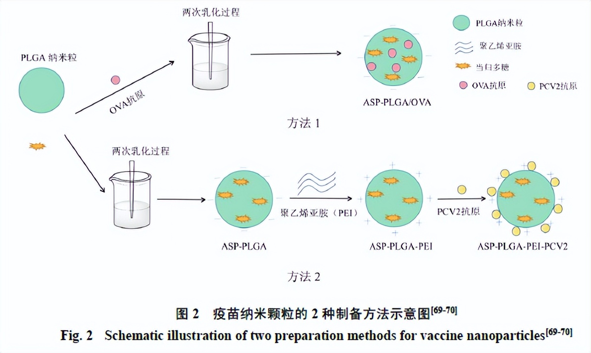 聚乳酸羟基乙酸共聚物,卡波姆乳酸羟基乙酸共聚物