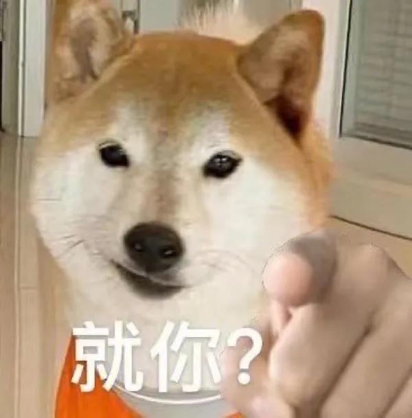 手摸柴犬下巴表情包,柴犬双手合一表情包