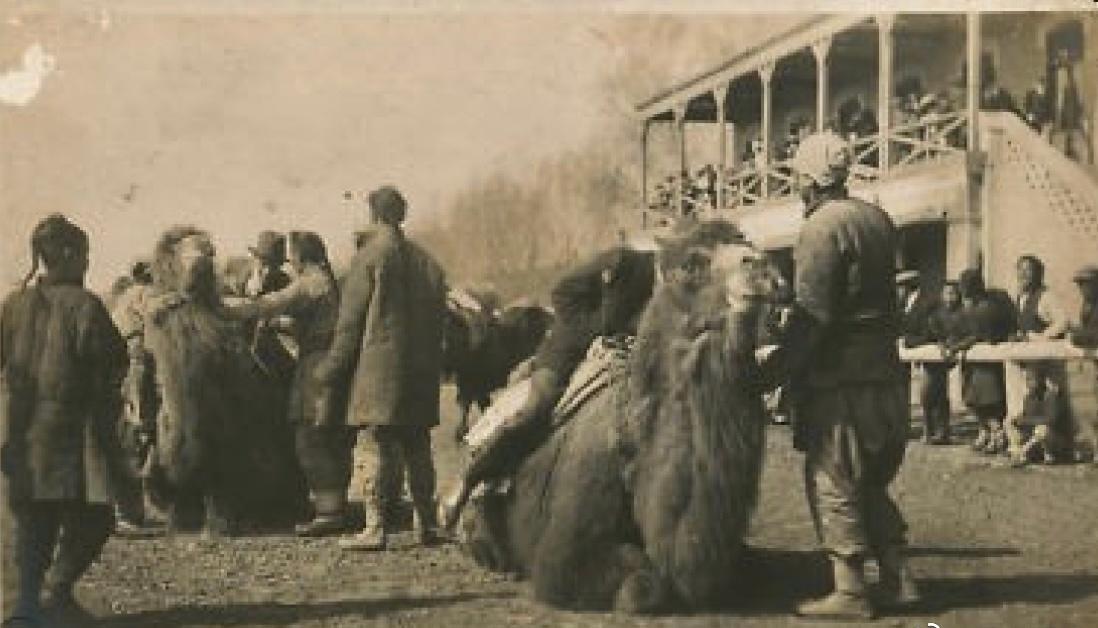 日军日记：*安妇慰**不服从管教，我很愤怒，用*刀刺**插入她的*体下**