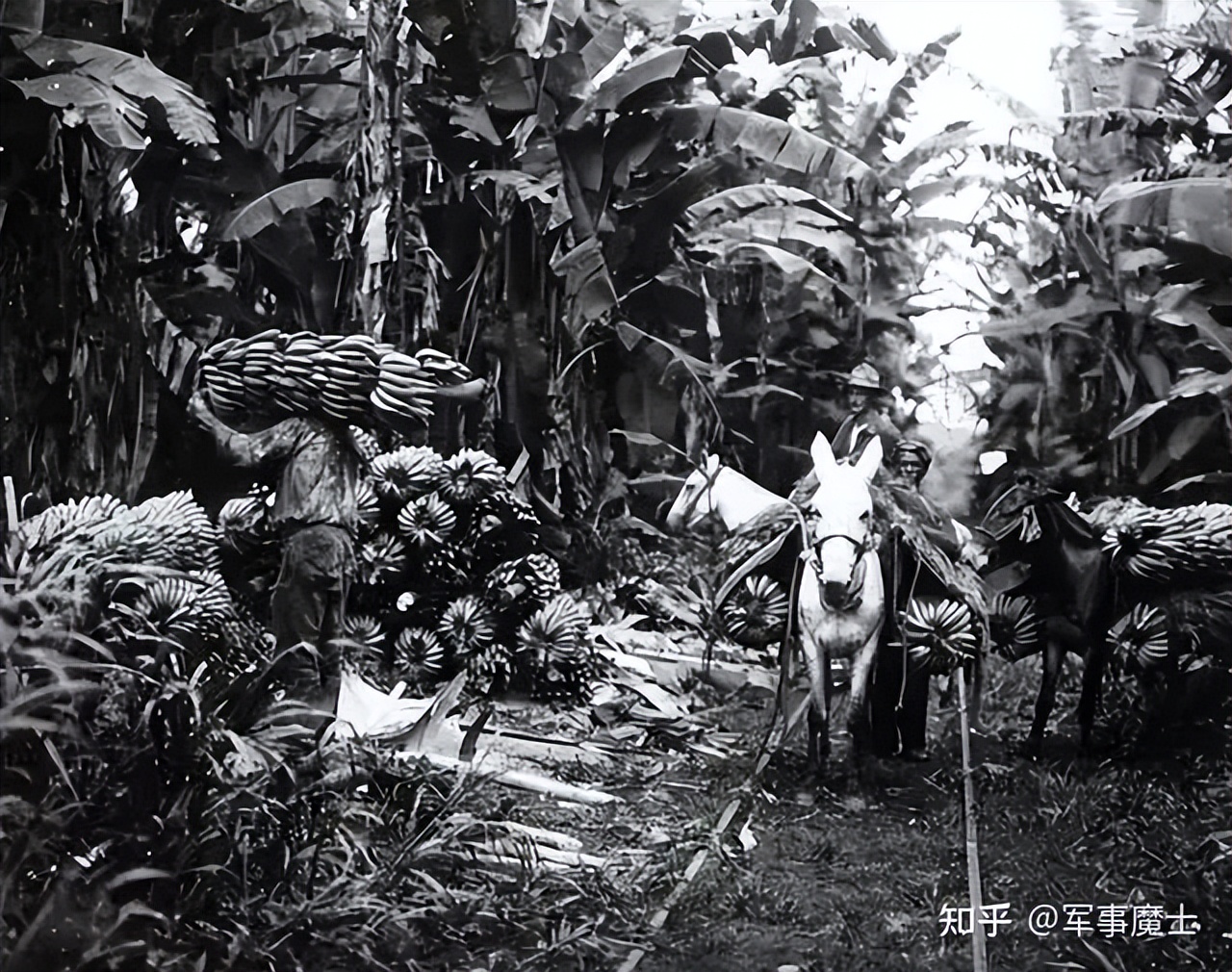 1966年世界杯英格兰vs阿根廷冲突,1974年世界杯西德队内讧