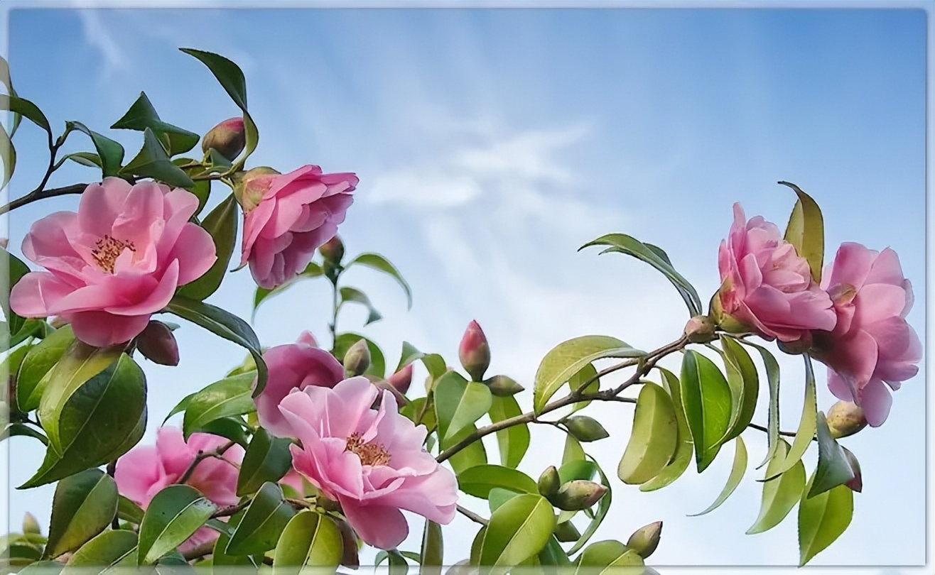 男人爱不爱你从对你称呼看得出,男人到底爱不爱你从称呼开始