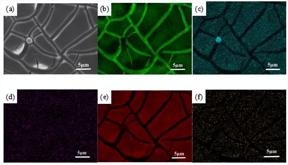 中北大学赵宇宏教授团队:石墨烯纳米片/AZ91D镁基复合材料腐蚀行为研究
