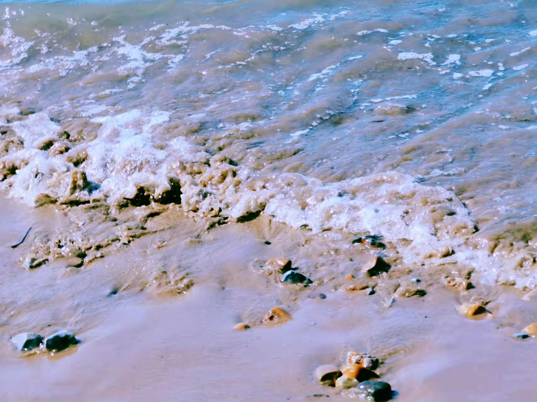 春节厦门旅游攻略景点必去,从宁波自驾游到厦门旅游攻略