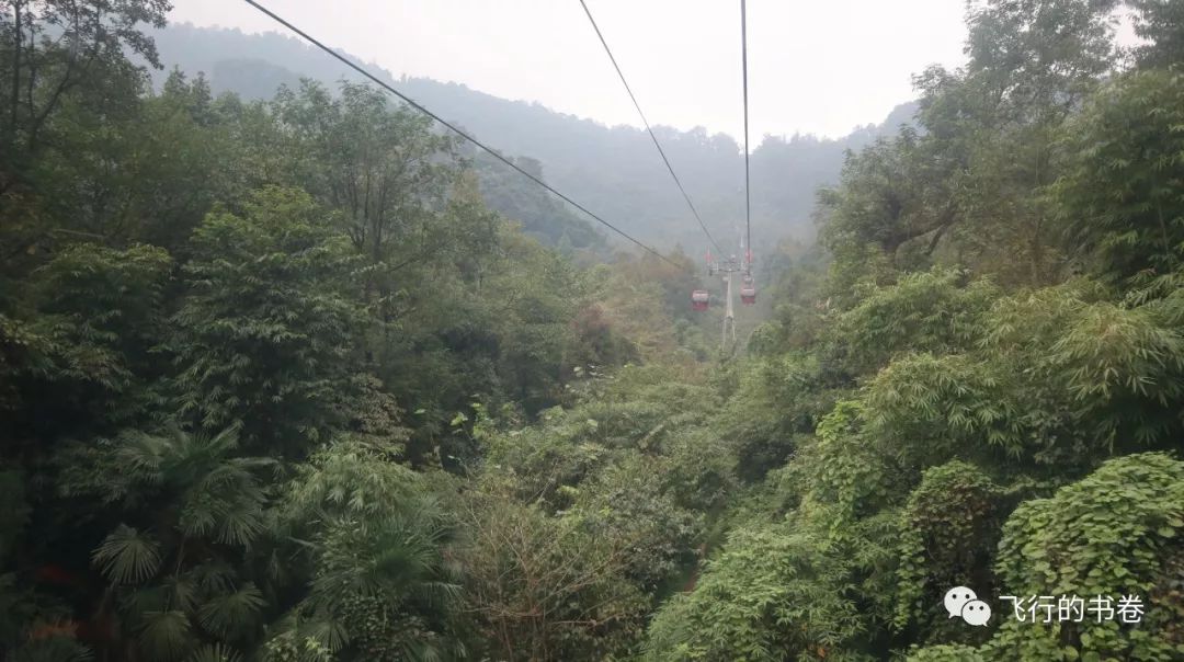 道教四大仙山你爬过几座,青城山为什么被称作道教第一山