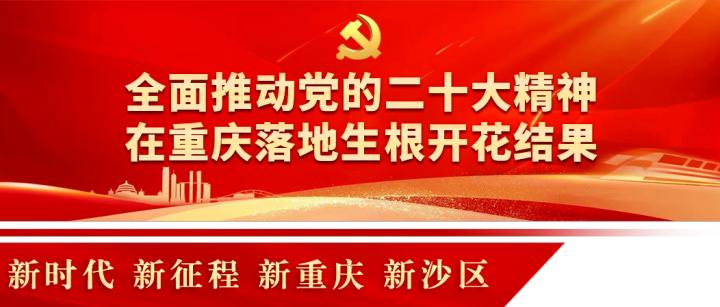 閲嶅簡鏃ユ姤鎶ラ亾,閲嶅簡鏃ユ姤娣卞害鎶ラ亾