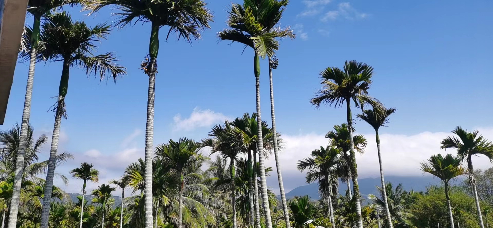 海口小孩的居住证怎么办理,外地人在海口办理居住证