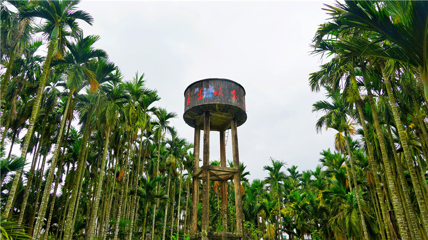 海南东线自驾乡村游攻略,海南原始村落自驾游