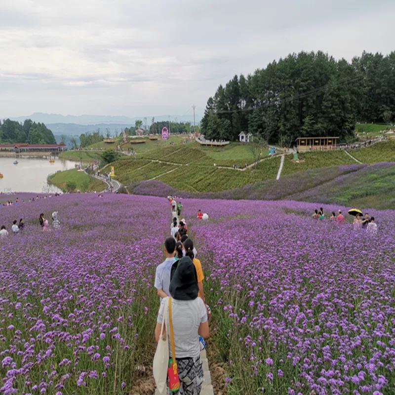 苦难的过去，救我们生命的鄱阳湖