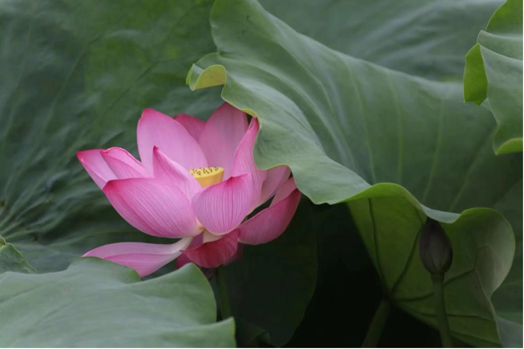 别人送你这2样东西万万不能要,别人送你旧东西时要注意什么