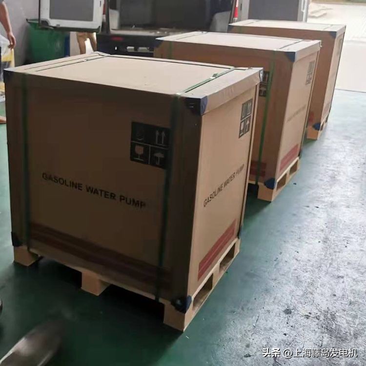 轻便型大流量排涝泵,移动式排涝泵大流量抽水泵