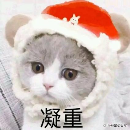 日本留学论文网站排名,日本留学考研计划书