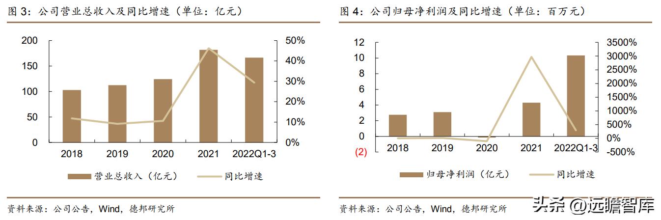 锂材铝箔龙头,鼎胜新材2019年铝箔市场占比