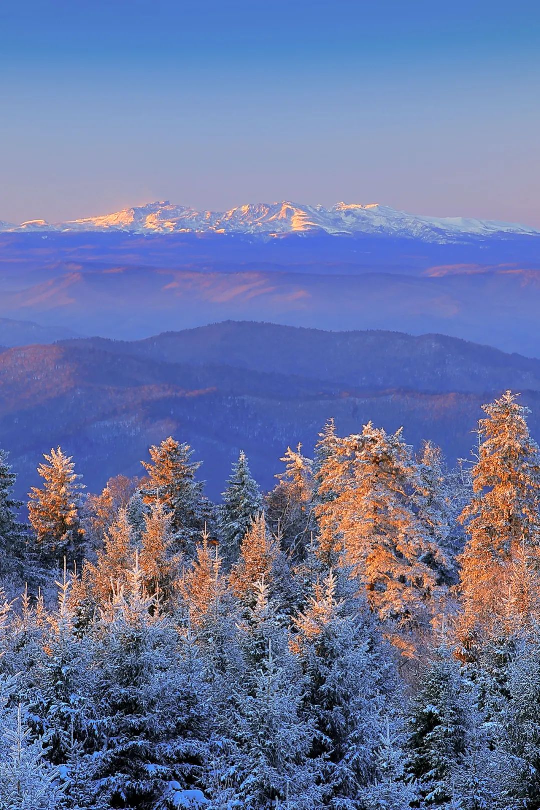 吉林延边为什么是朝鲜族,延边韩流