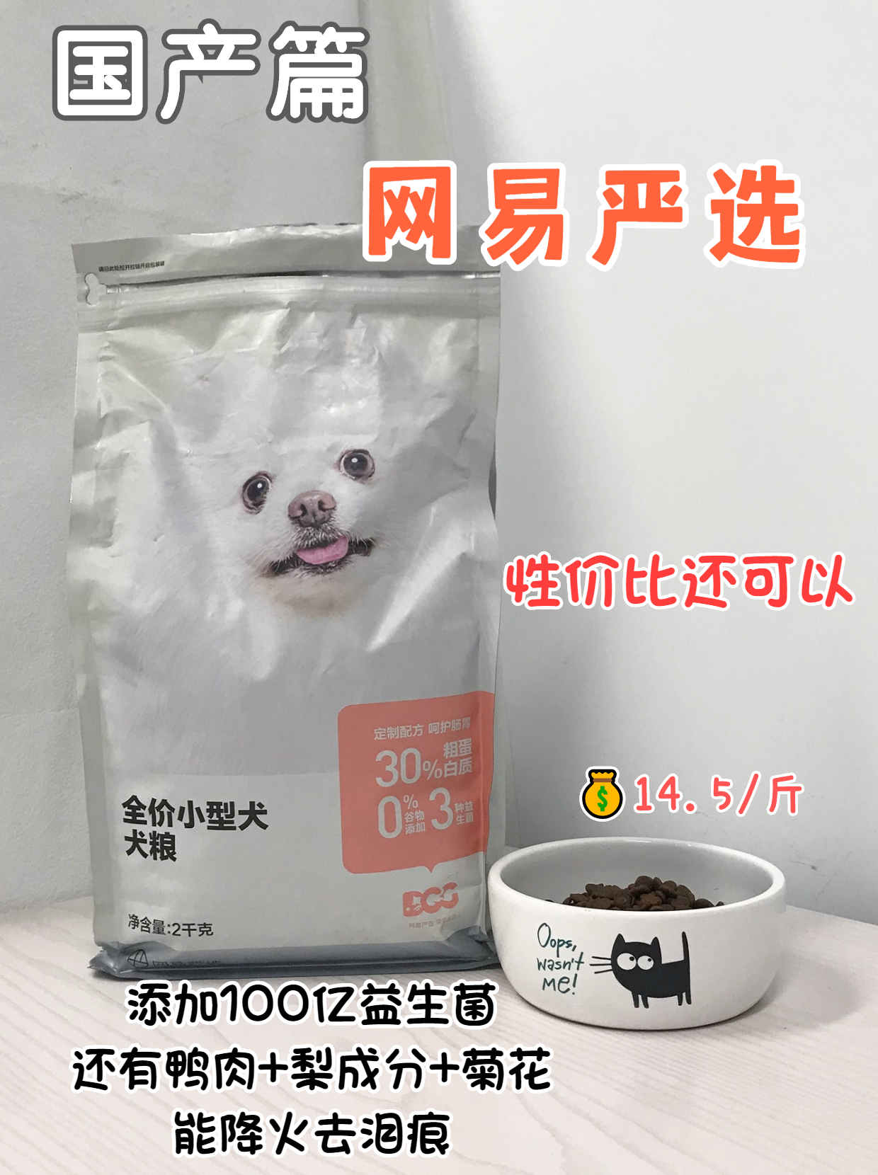 养狗不要太宠狗,养狗新手不建议养什么狗