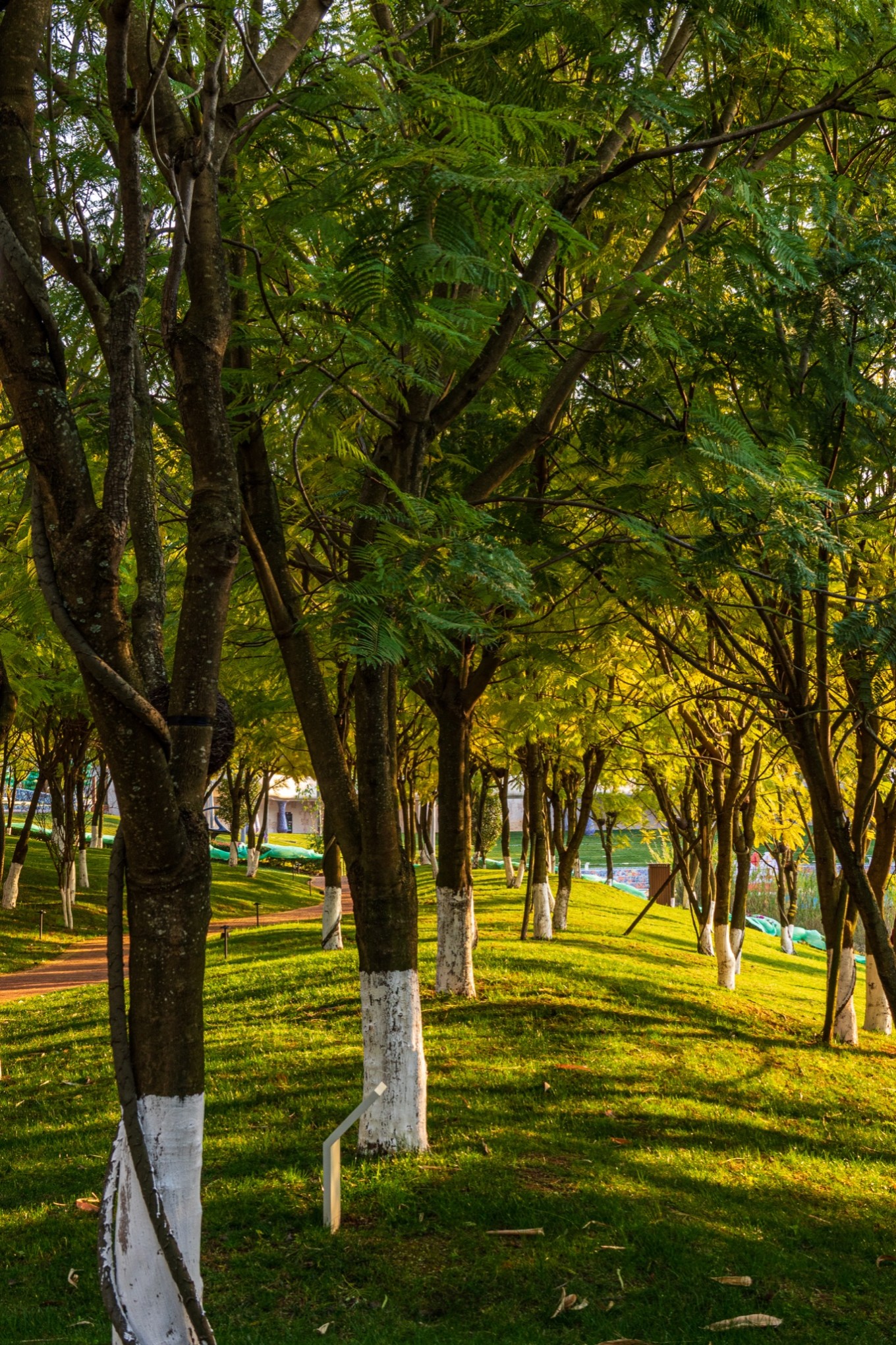 城子古村的传说,世外桃源城子古村