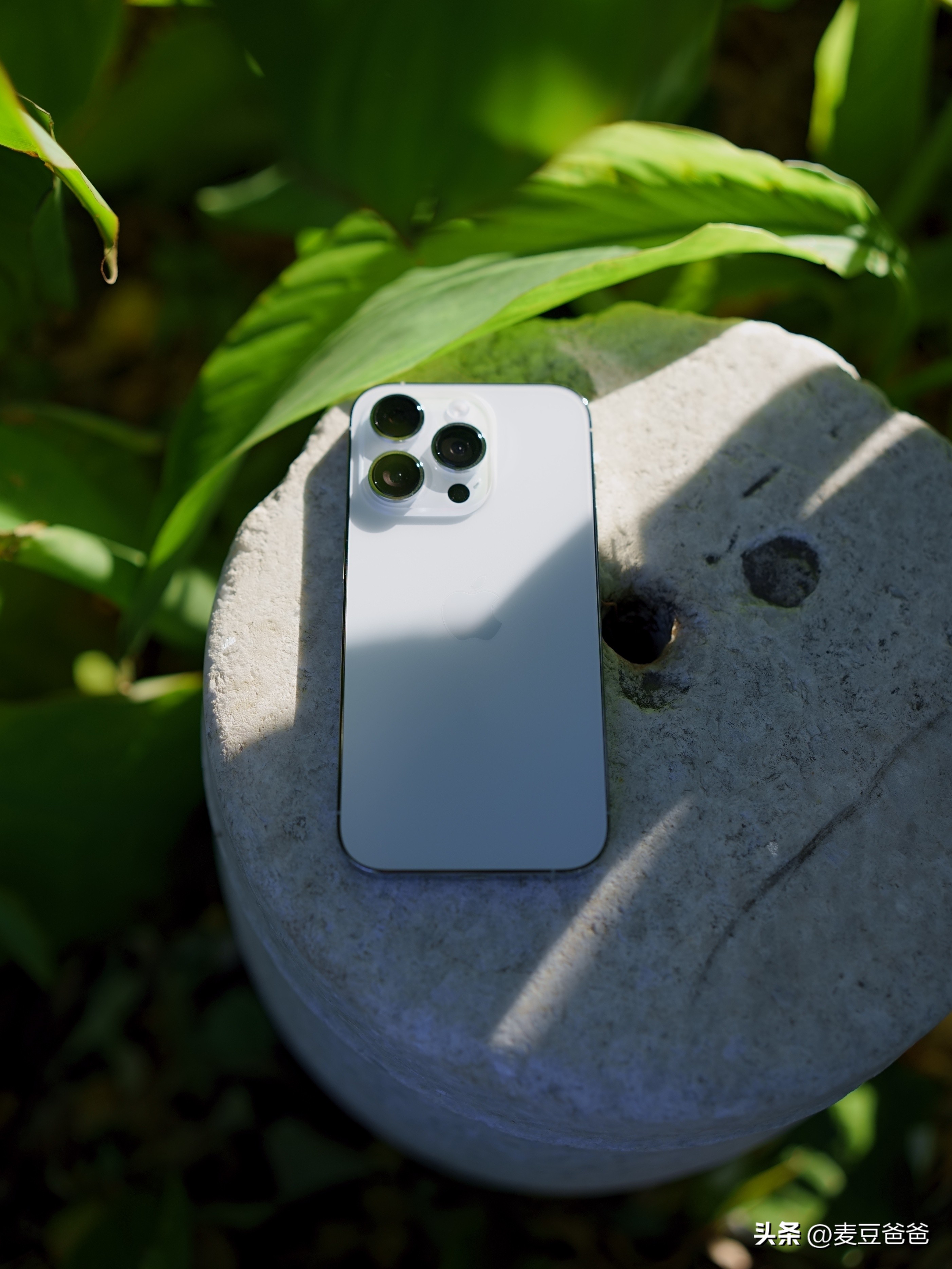 如何利用苹果14手机拍高清图片,iphone14如何拍出好看照片