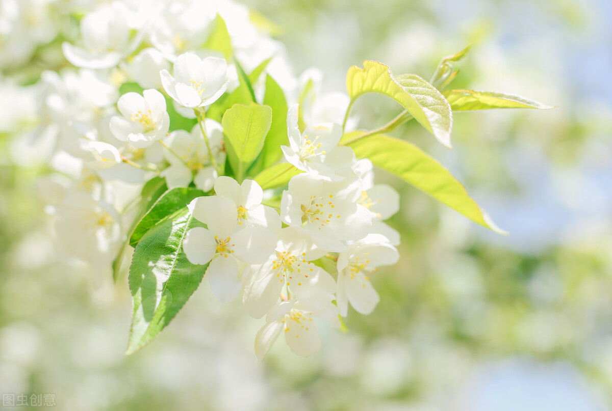 成功的路上需要坚持,坚持正确工作策略和方法