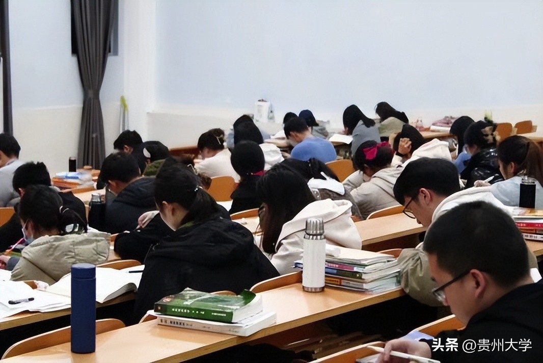 贵大这个学院,学生们的升学故事真精彩!