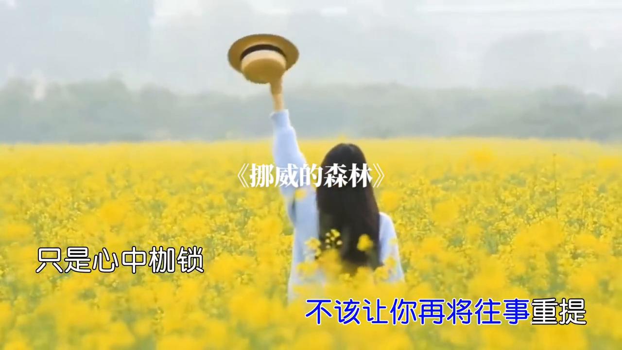 伍佰chinablue挪威的森林,伍佰另一个版本的挪威的森林