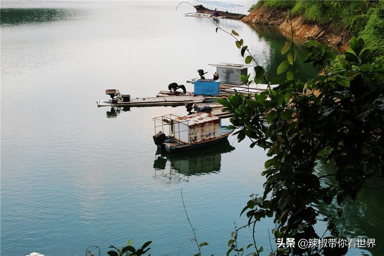 海岸线：邂逅*江阳**——感受这座慢节奏小城文化底蕴感悟人文之美