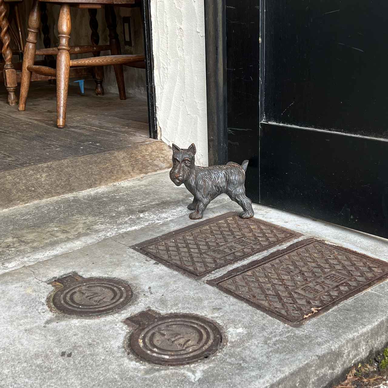 乐天的“碎片”和再会之旅。|*井樱**香织·我深爱的咖啡lotta和我