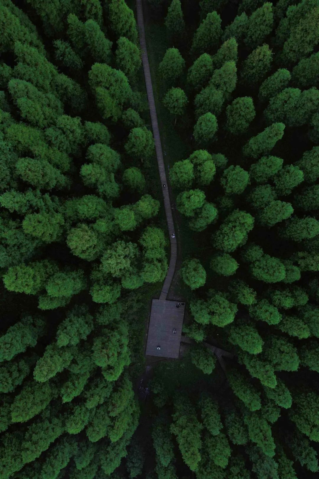褰窞鐧介箍灏忛晣闇嶆牸娌冭尐,褰窞闇嶆牸娌冭尐