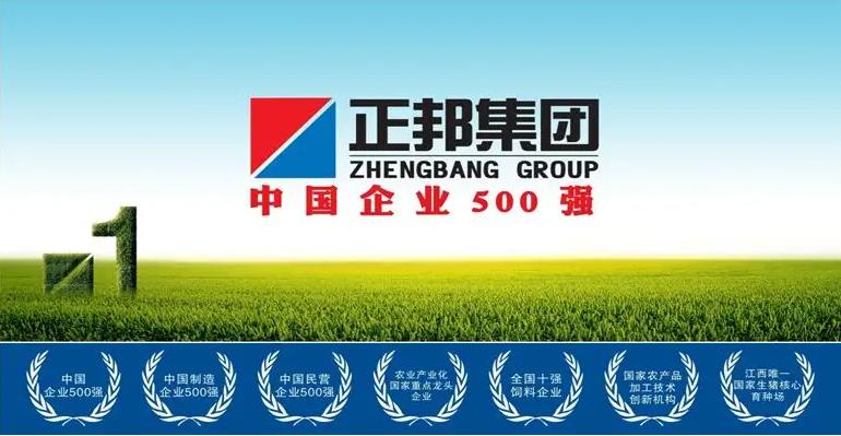 2022品牌价值排行榜区域品牌,2022十大家具品牌