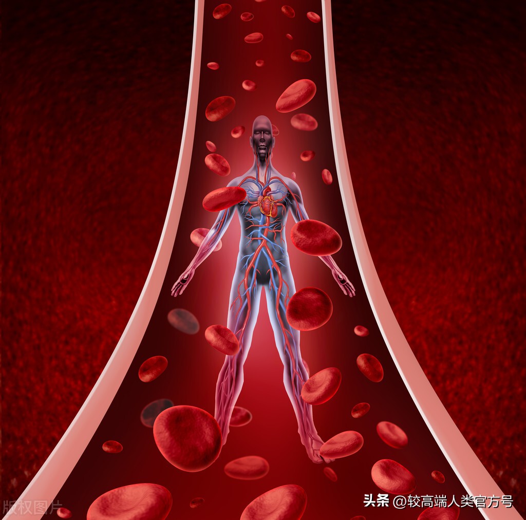 人类最深的洞,人类身上的洞