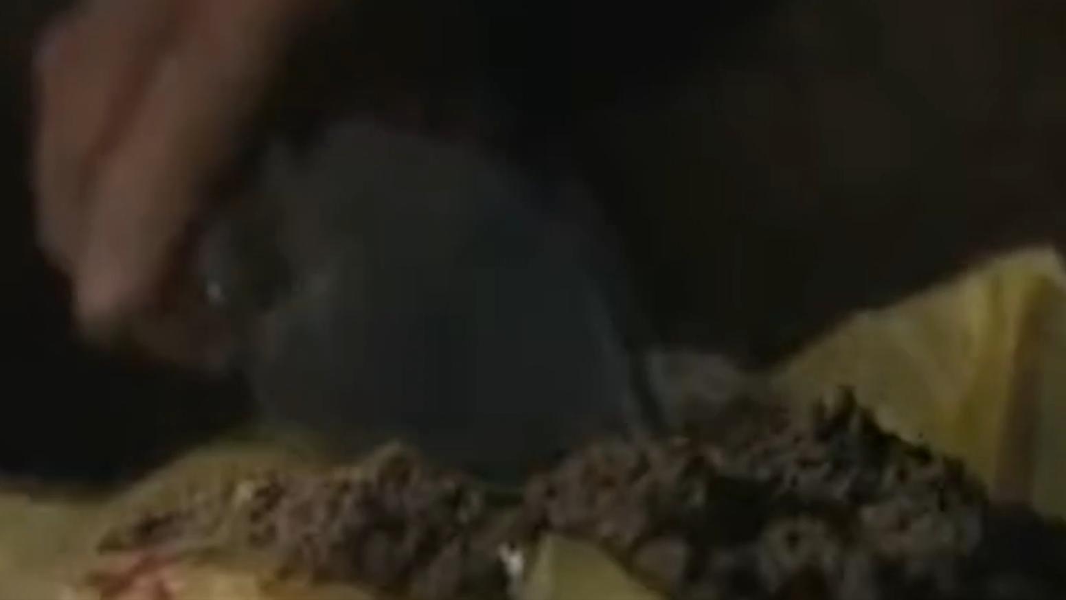 八旬老人昏迷医生救人,老人重病用什么草药救命