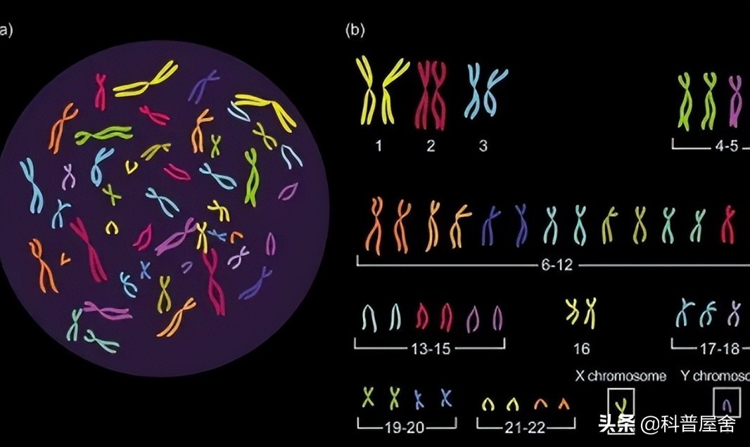 证明神存在的例子,证明神存在的理论