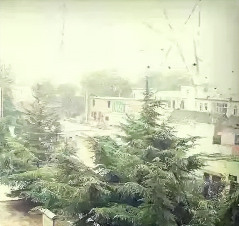 许昌市第九至第二十中学演变：母校，你去哪了？