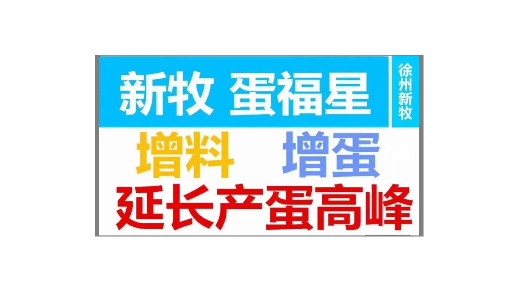 蛋鸭掉羽毛怎么办,蛋鸭换毛需要怎么处理