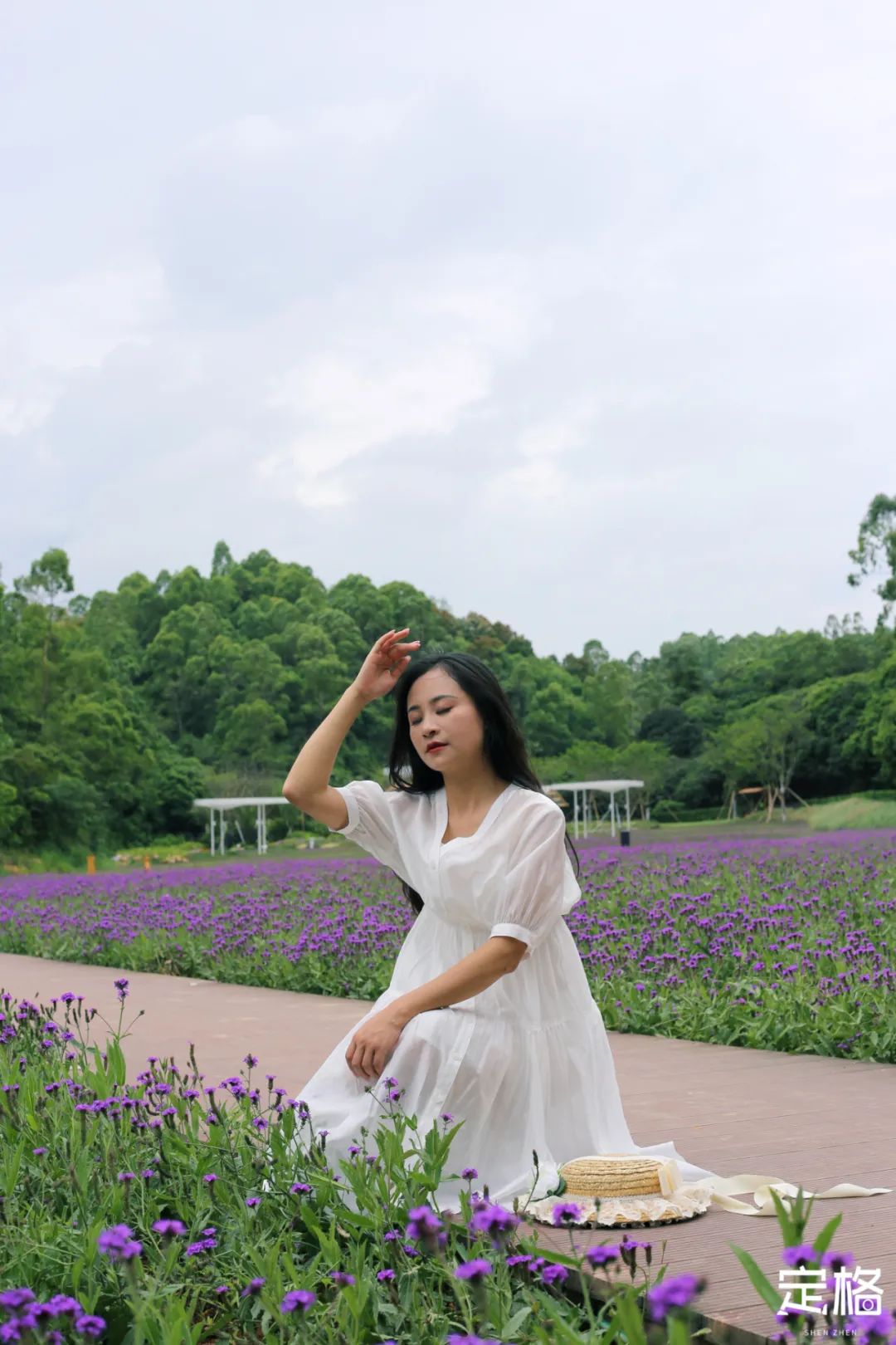 深圳蝴蝶谷花海,深圳湾公园花海3月