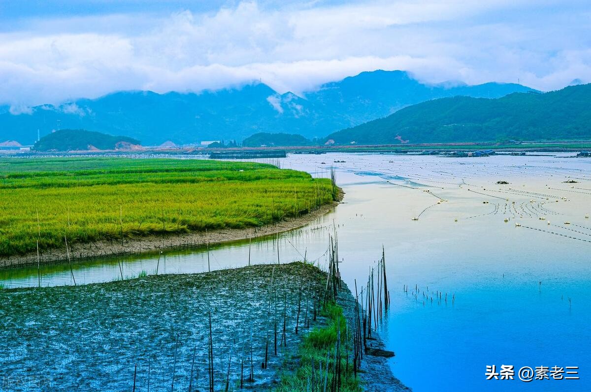 女作家去做保姆婚姻真相,女作家去做保姆这些年
