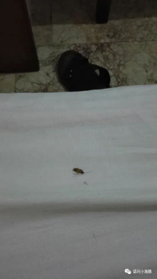 经历埃博拉、疟疾、战乱后,青春仍在绽放—我的华为奋斗史(2)