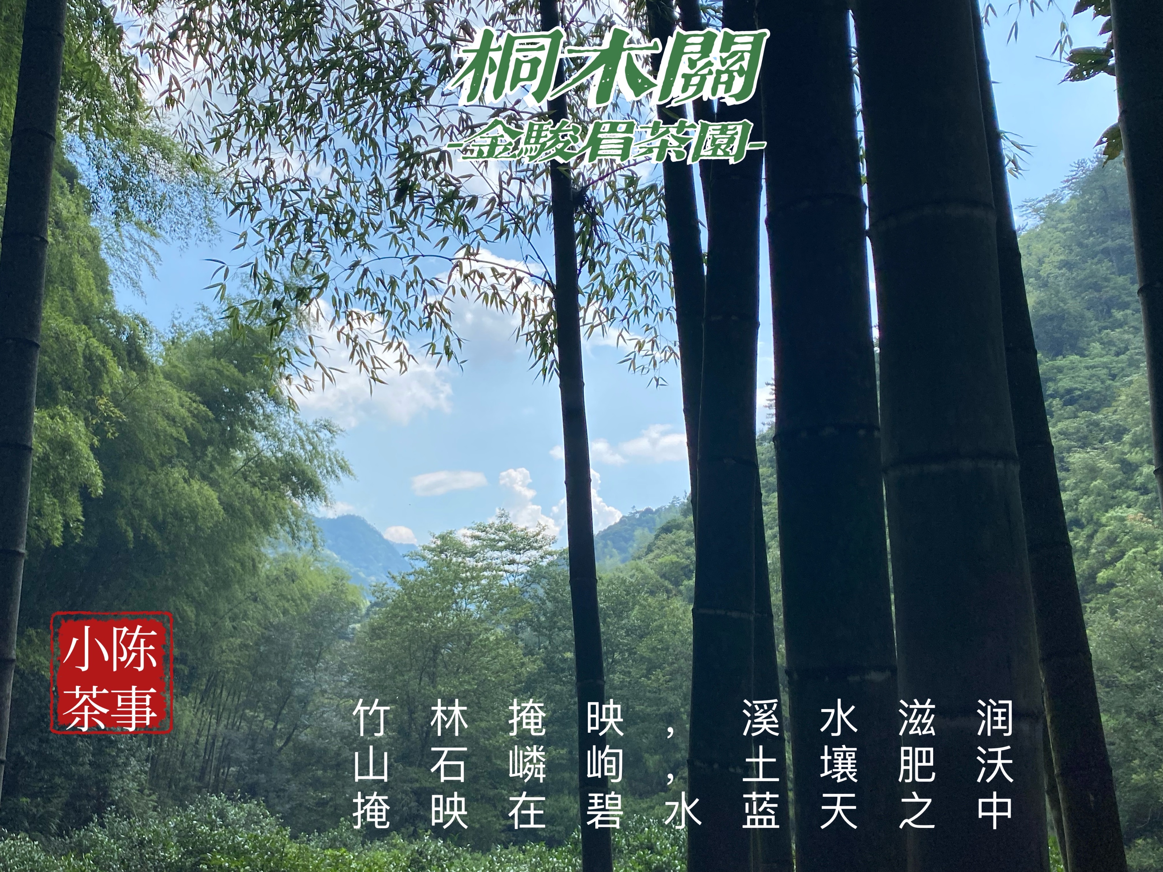 红茶金骏眉的价位,红茶金骏眉好点多少钱一斤