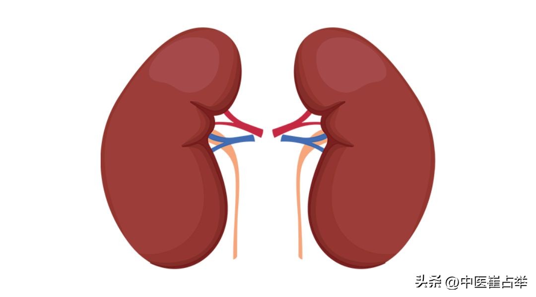 男人补肾气最快的方法,男人怎样补肾气和气血