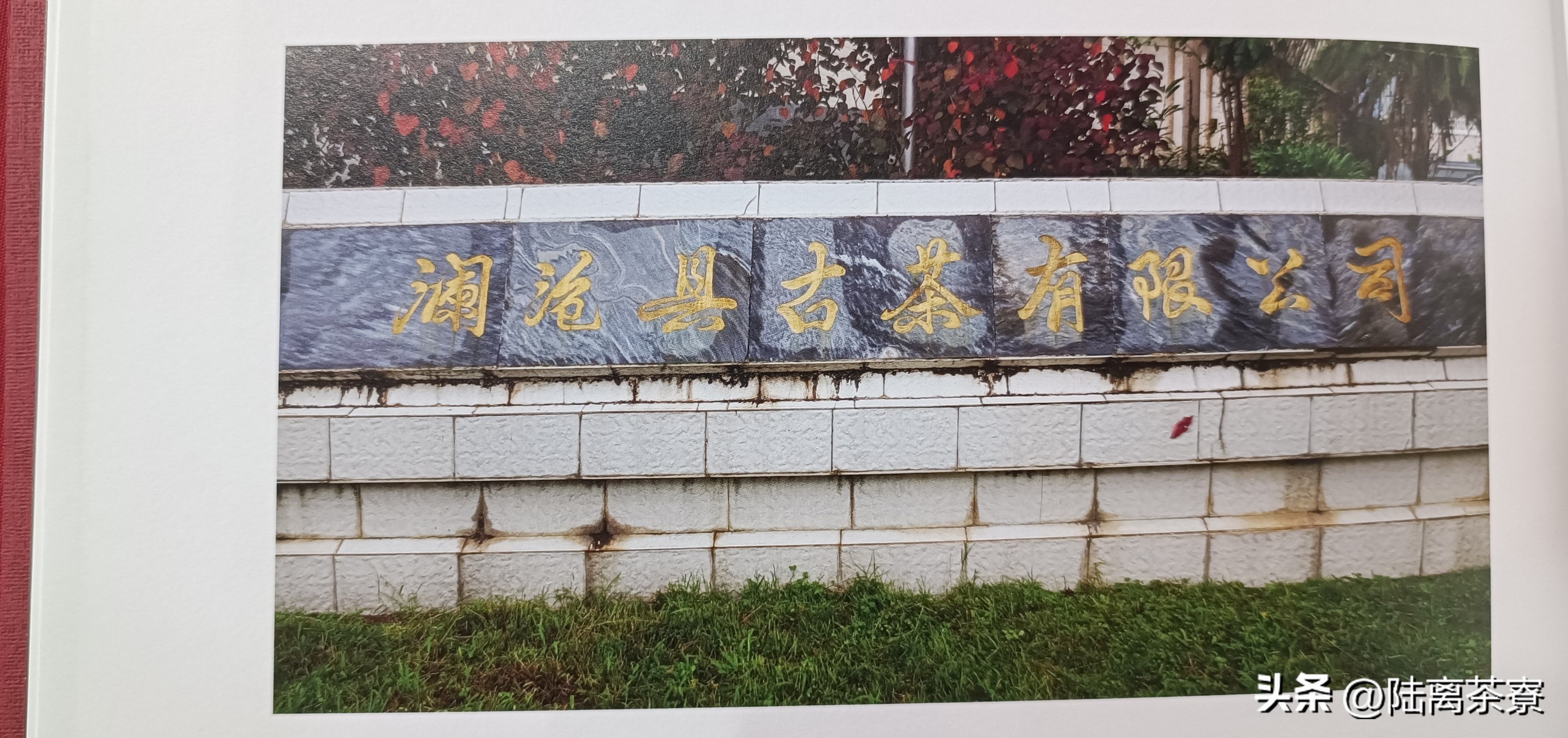 杜春驿澜沧古茶,杜春峰乌金熟茶澜沧古茶